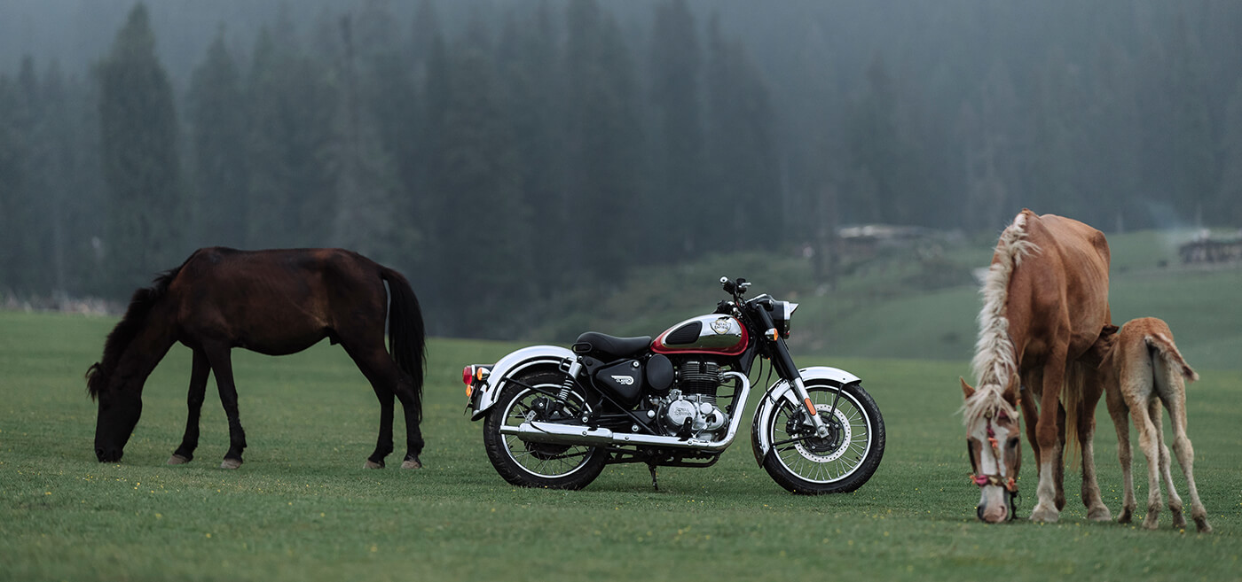 Classic 350 Motorcycle parked on grassy field with horses grazing beside it; dense forest in background.